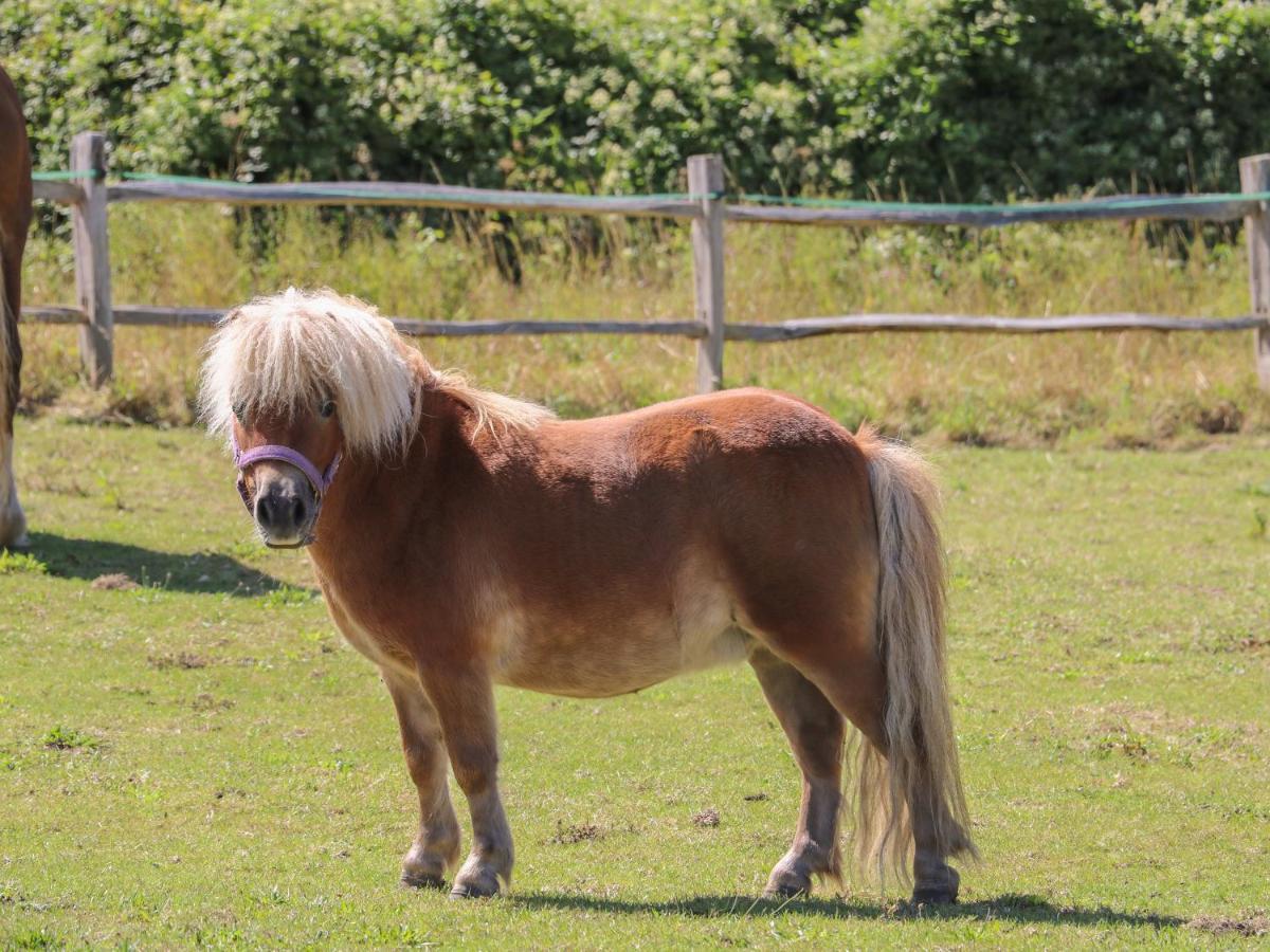 1 Paythorne Farm Cottages Henfield Bagian luar foto